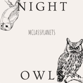 Night Owls