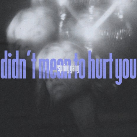 Didn't Mean to Hurt You | Boomplay Music