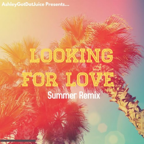 Looking For Love (Summer Remix) ft. Amelia Collins & Housaholics | Boomplay Music