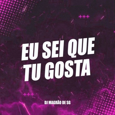 Eu Sei Que Tu Gosta | Boomplay Music