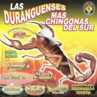 Las Duranguenses Mas Chingonas del Sur