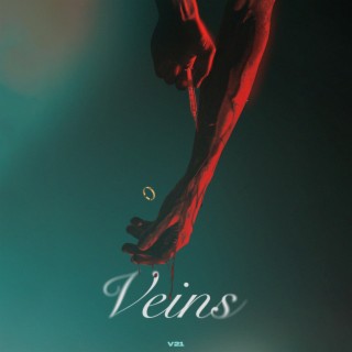 Veins