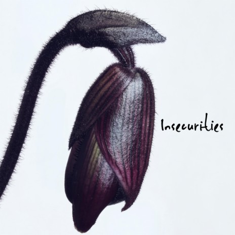 insecurities | Boomplay Music