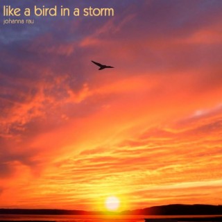 Like A Bird In A Storm
