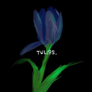 Tulips (happy times)