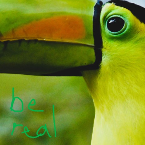 be real (I seem real) | Boomplay Music