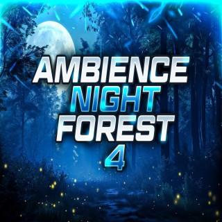 Night Forest 4 (Ambience)