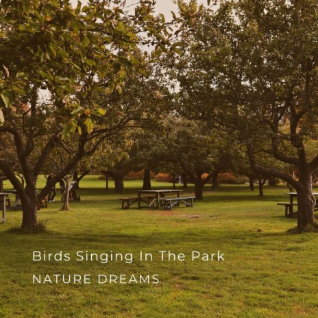 Birds Singing In The Park | Boomplay Music