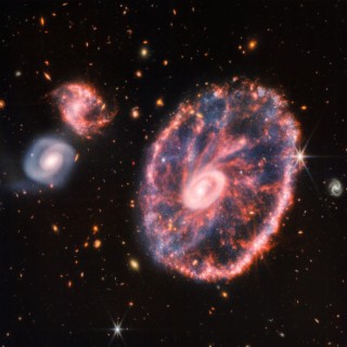 The Cartwheel Galaxy