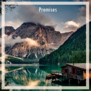 Promises