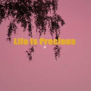 Life Is Precious