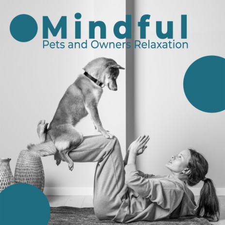 Yoga for Animal Lovers | Boomplay Music