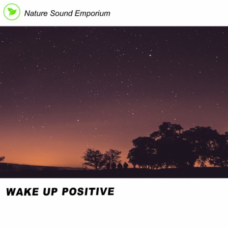 Wake Up Positive | Boomplay Music