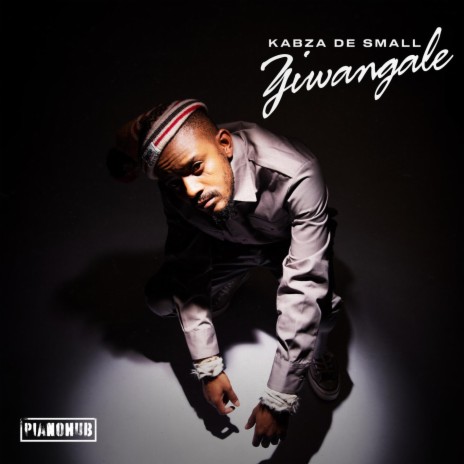 Ziwa Ngale ft. DJ Tira, Young Stunna, Dladla Mshunqisi, Felo Le Tee & Beast