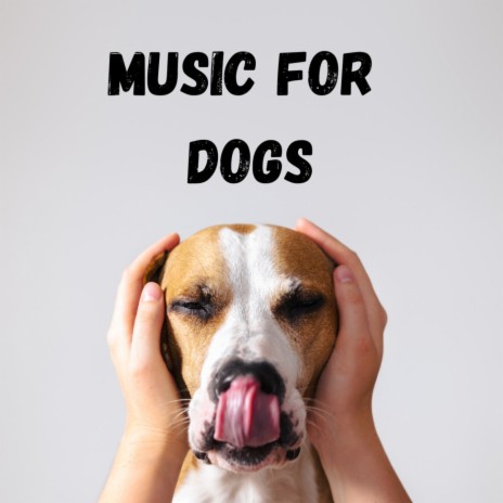 De-Stress Music ft. Music For Dogs Peace, Calm Pets Music Academy & Relaxing Puppy Music