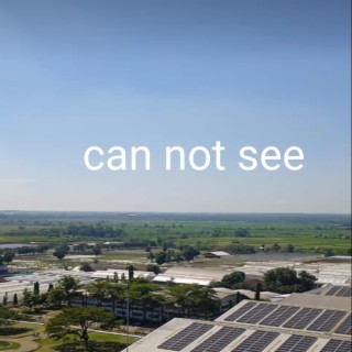 Can Not See