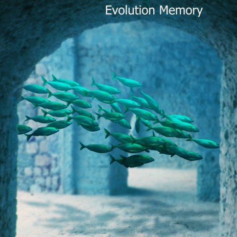 Evolution Memory | Boomplay Music