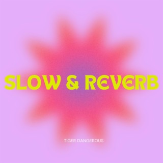 Doubt (Slow & Reverb)
