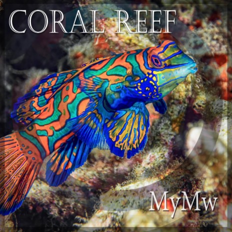 Coral Reef | Boomplay Music