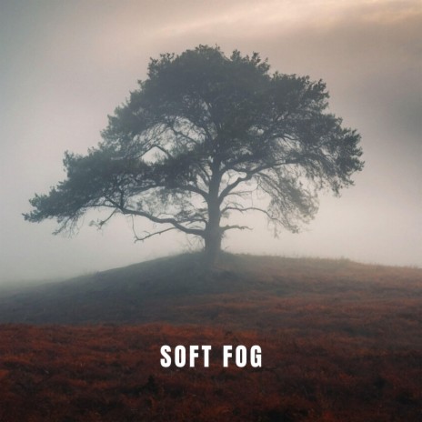 SOFT FOG | Boomplay Music
