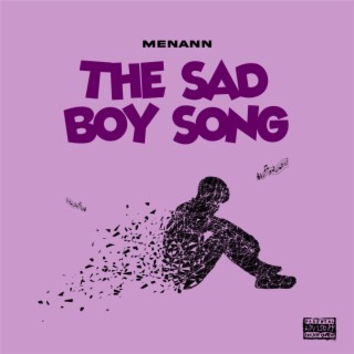 The Sad Boy Song lyrics | Boomplay Music