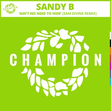 Ain't No Need To Hide (Sam Divine Extended Remix) | Boomplay Music