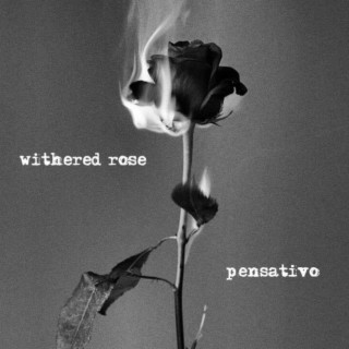 Withered Rose