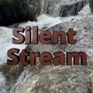 Silent Stream