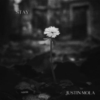 Stay