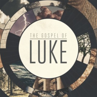 Luke 9:23-27, 57-62, 14:25-35: "How to Follow Jesus"