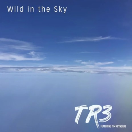 Ley Lines ft. Tim Reynolds & TR3 featuring Tim Reynolds