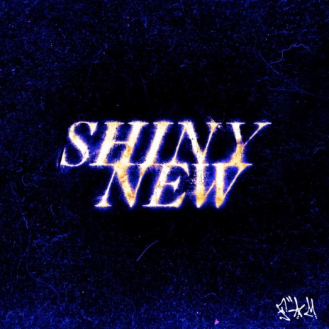 SHINY NEW | Boomplay Music