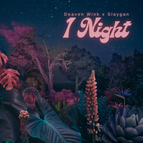 1 Night ft. Slaygan | Boomplay Music