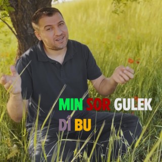 Min sor gulek di bu (Bist u se kezi)