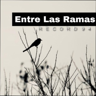 Entre Las Ramas