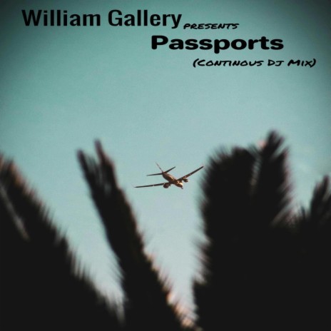 Passports (Album Mix) | Boomplay Music