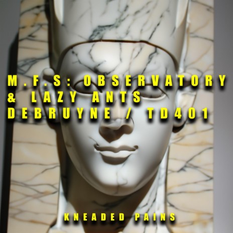 TD401 ft. M.F.S: Observatory | Boomplay Music
