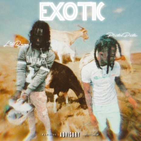 EXOTIC ft. PistolPete | Boomplay Music