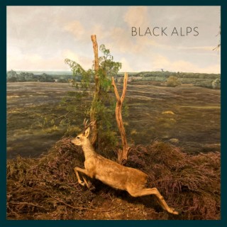 Black Alps