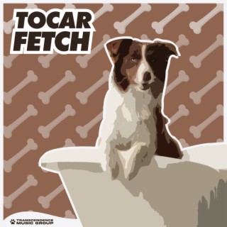 Tocar Fetch