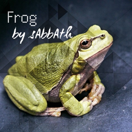 Frog | Boomplay Music