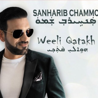 Weeli Qatakh Full Album