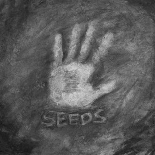 seeds