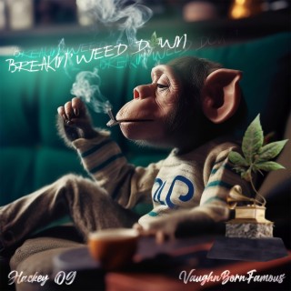 Breakin' Weed Down ft. VaughnBornFamous lyrics | Boomplay Music