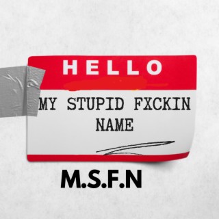 M.S.F.N.