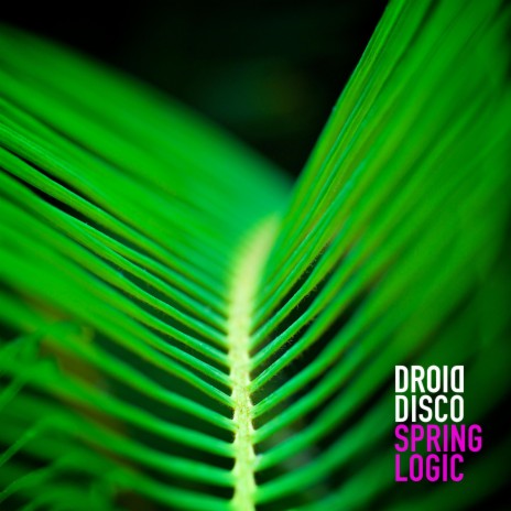 Spring Logic | Boomplay Music