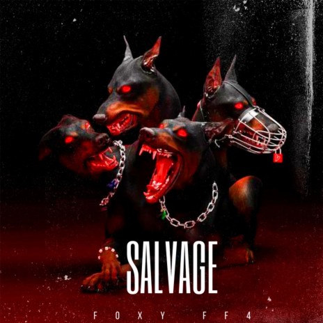 Salvage | Boomplay Music