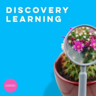 Discovery Learning