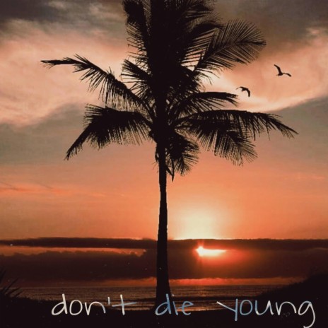 don't die young | Boomplay Music