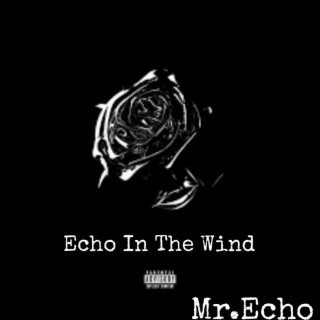 Echo In The Wind (deluxe Version)